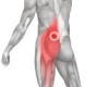 Top Hip Pain Symptoms That You Need to Watch Out For