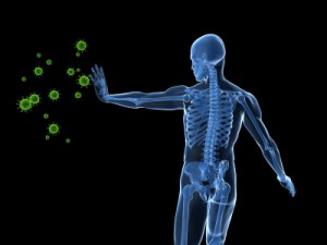 chiropractic immunity men's health